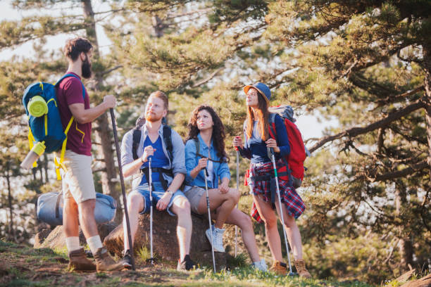 istock Summer is great time for hiking 1131260216