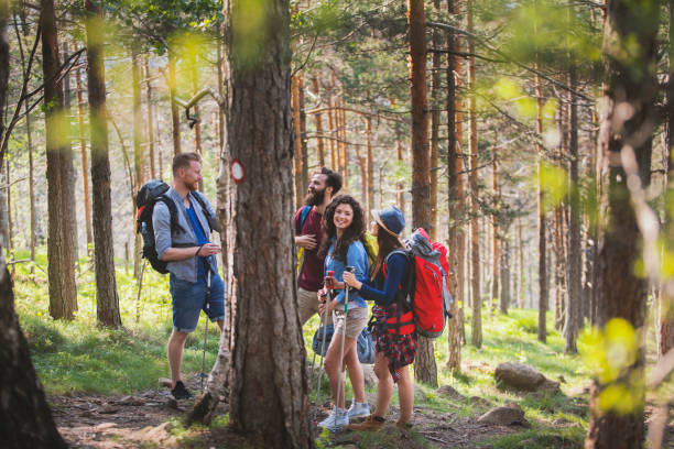 istock Summer is great time for hiking 1131260225