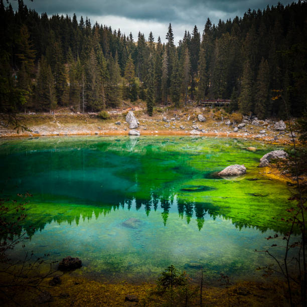 istock Scenic View Of Lake In Forest 1131260308