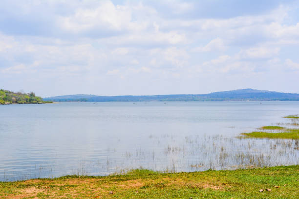 istock View of nature 1131262637