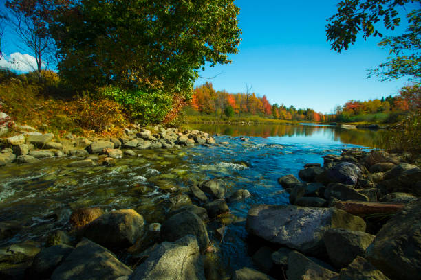 istock Rocky Moving River, Acadia National Park, Maine 1131266680