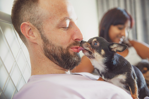 Couple, Selfie, Pet - Couple in their bedroom playing with their Chihuahuas