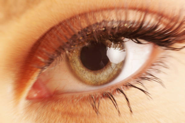 istock Closeup of a woman's eye 1131276069