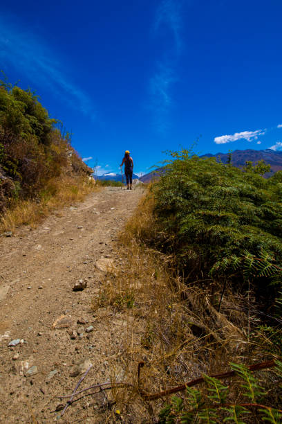 istock Hiker in  New Zealand 1131278543