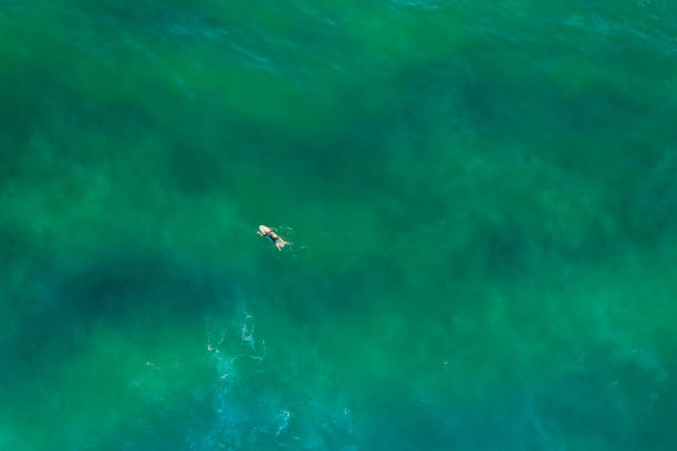 istock Looking down at surfer in turquoise ocean water at sunrise with copy space 1131278754