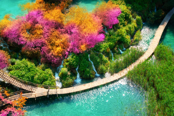 istock Beautiful wooden path in Plitvice Lake, Croatia. 1131280192