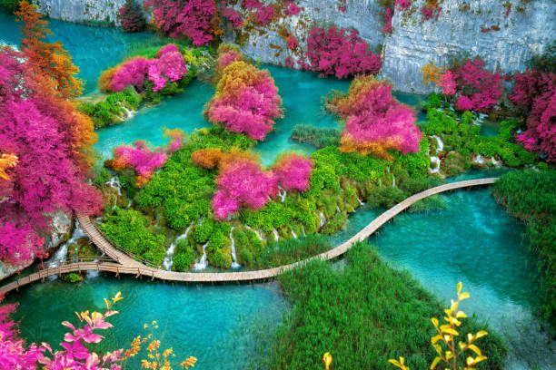 istock Beautiful wooden path in Plitvice Lake, Croatia. 1131280193