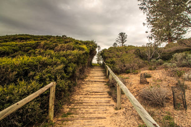 istock cottesloe beach of western Australia 1131280213