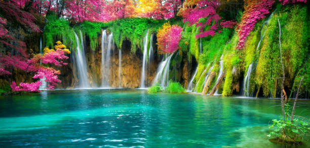 Waterfall landscape of Plitvice Lakes Croatia. Exotic waterfall and lake landscape of Plitvice Lakes National Park, UNESCO natural world heritage and famous travel destination of Croatia. The lakes are located in central Croatia (Croatia proper). croatian culture photos stock pictures, royalty-free photos & images
