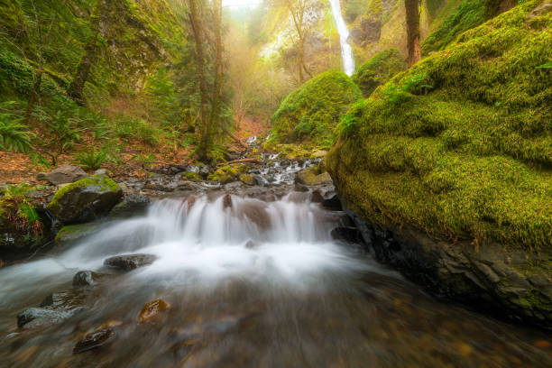 istock Cascading small waterfall along Starvation Creek at State Park in Columbia River Gorge Portland OR 1131284506