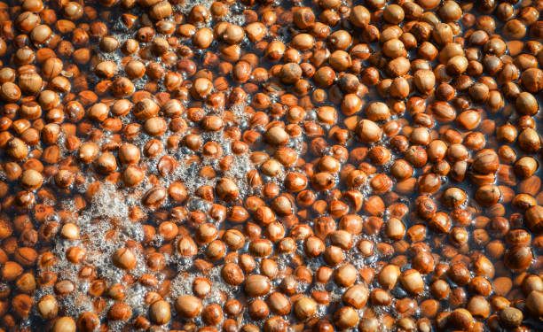 Small asia chestnuts  in pot to boiled background / Castanea sativa
