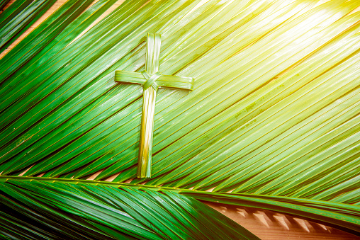 Cross shape of palm leaf on palm branches with ray in wooden background. Palm Sunday concept