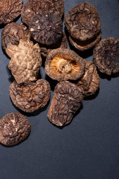 setas secas y fondo negro - shiitake mushroom mushroom dried food dried plant fotografías e imágenes de stock