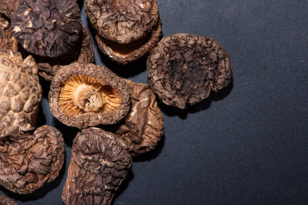 funghi secchi e sfondo nero - shiitake mushroom mushroom dried food dried plant foto e immagini stock