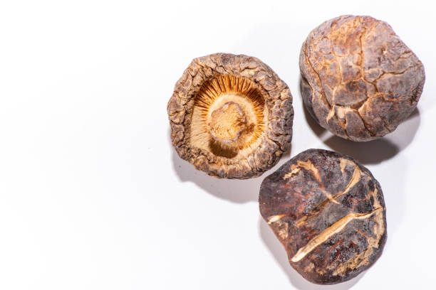 말린 버섯과 흰색 배경 - shiitake mushroom mushroom dried food dried plant 뉴스 사진 이미지