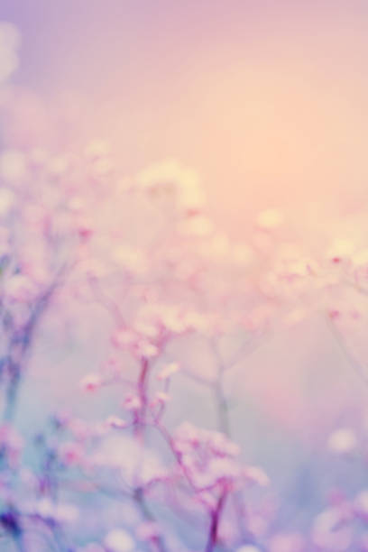 istock blur grass flowers with vintage tones. 1131291670