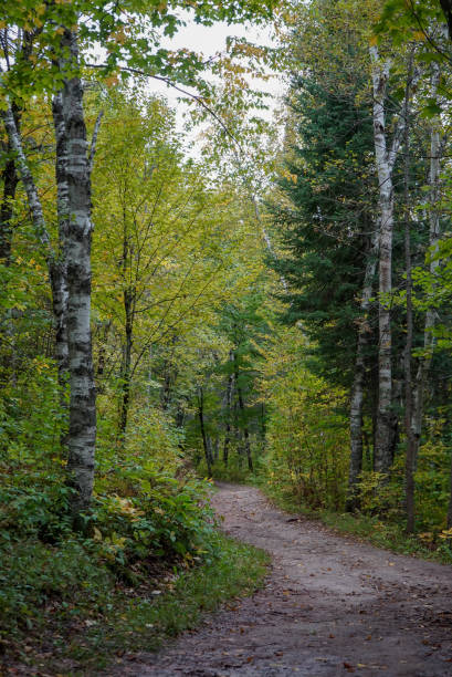 istock Beautiful Hiking Trail at Jay Cooke State Park 1131294678