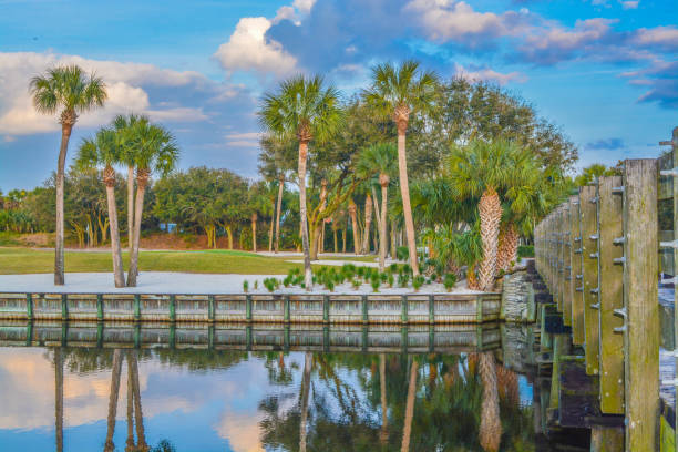 istock Palm trees on Lake Vedra. Ponte Vedra Beach, Florida 1131297437