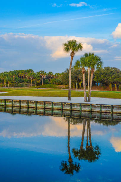 istock Palm trees on Lake Vedra. Ponte Vedra Beach, Florida 1131298478