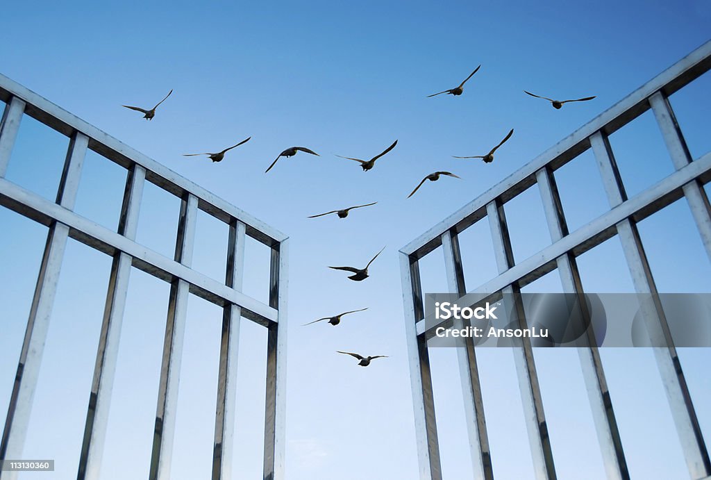 birds fly over la puerta - Foto de stock de Abierto libre de derechos