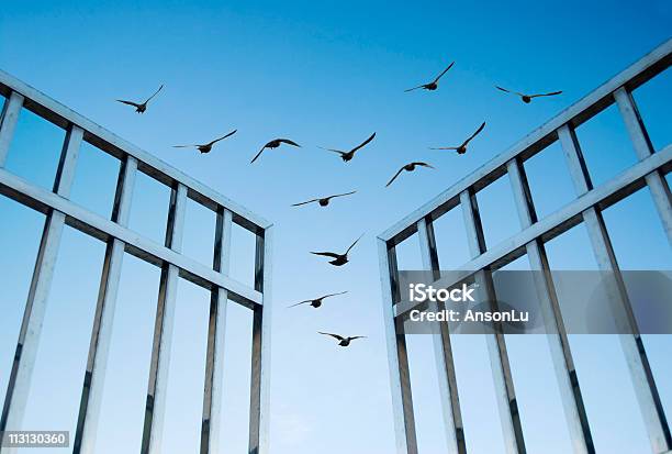 Birds Fly Over La Puerta Foto de stock y más banco de imágenes de Abierto - Abierto, Dios, Imaginación