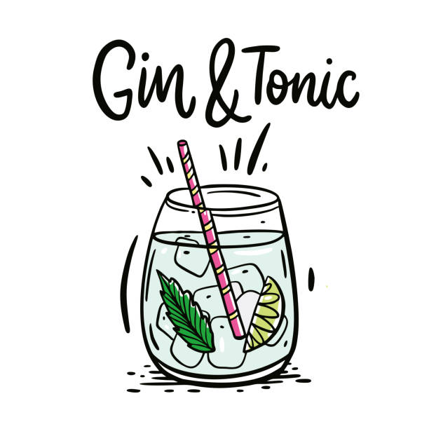 Classic cocktail Gin and tonic. Hand drawn vector illustration and lettering. Classic cocktail Gin and tonic. Hand drawn vector illustration and lettering. Isolated on white background. gin tonic stock illustrations