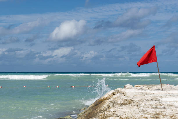 istock Red caution flag on ocean rock by the beach 1131305044