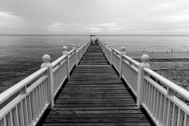 istock Boardwalk/pier/jetty/dock leading out to the ocean 1131305091