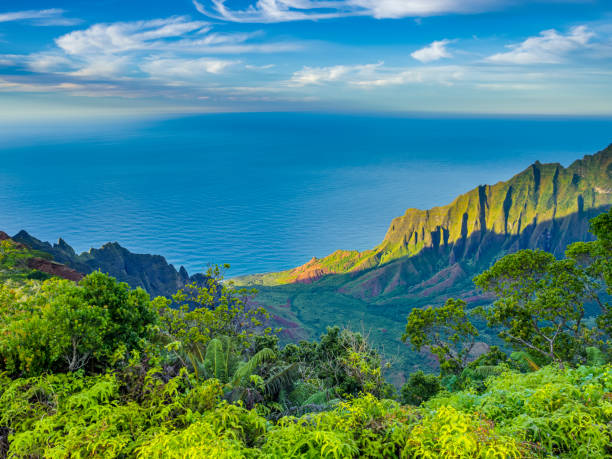 wyspa kauai na hawajach - waimea canyon state park zdjęcia i obrazy z banku zdjęć