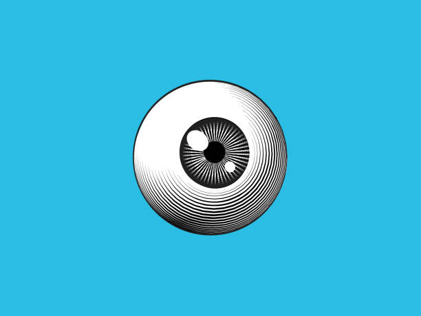 ilustraciones, imágenes clip art, dibujos animados e iconos de stock de ilustración de globo ocular grabado en azul bg - eye