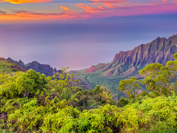 wyspa kauai na hawajach - waimea canyon state park zdjęcia i obrazy z banku zdjęć