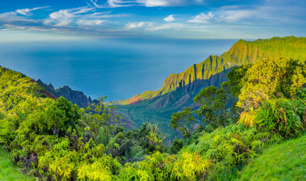 island of kauai in hawaii - waimea canyon state park imagens e fotografias de stock