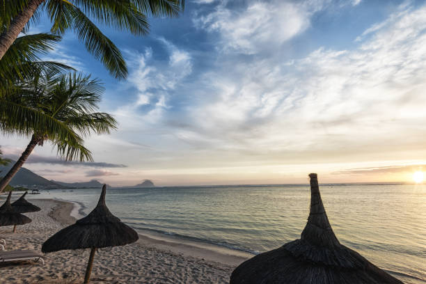 istock Evening scenery on Mauritius with mount Le Morne 1131312874