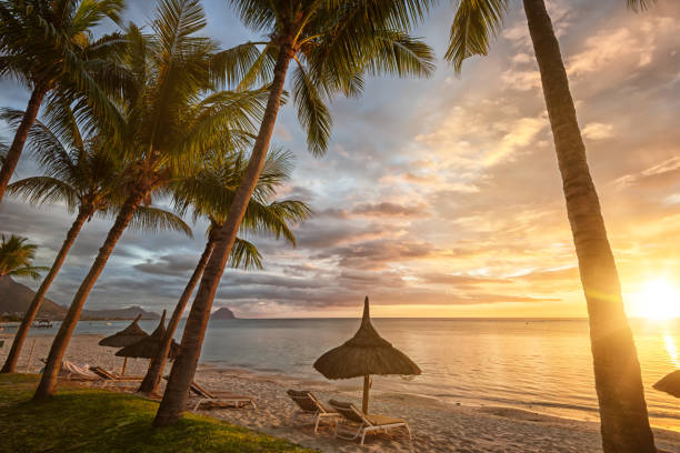 istock Sundown with mount Le Morne in the background, Mauritius 1131312898