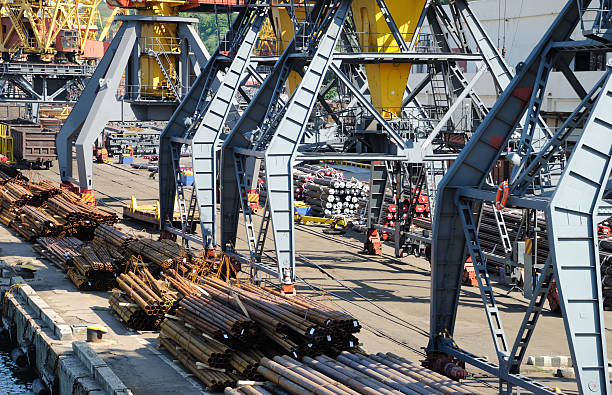 istock The trading seaport with cranes and ships 113131404