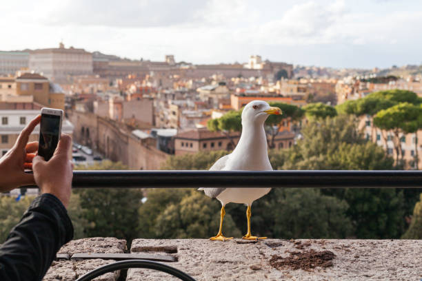 istock Tourist taking a picture in Rome 1131314117