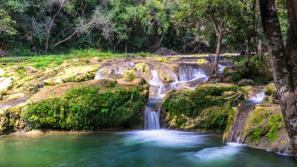 waterfall in las terrazas, cuba - awe beauty in nature waterfall cool imagens e fotografias de stock