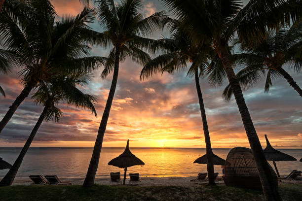 istock Romantic sundown on tropical island Mauritius 1131319795