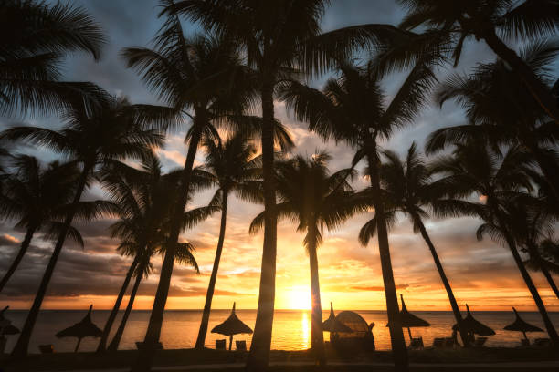 istock Romantic sundown on tropical island Mauritius 1131319812