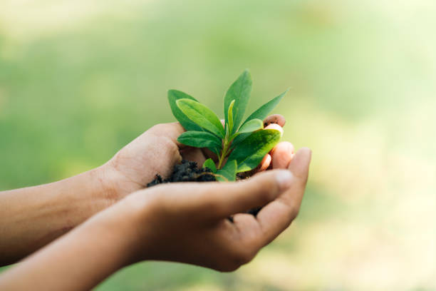 istock Earth Day, a day of education about environmental issues concepts. 1131320287