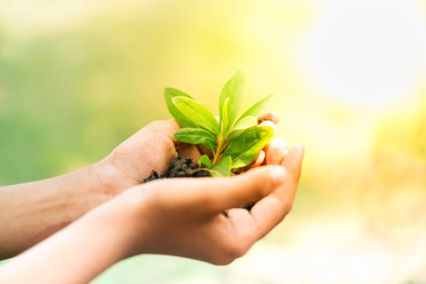 istock Earth Day, a day of education about environmental issues concepts. 1131320362
