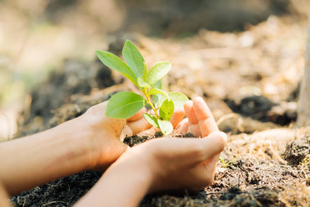 istock Earth Day, a day of education about environmental issues concepts. 1131320363
