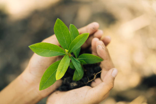 istock Earth Day, a day of education about environmental issues concepts. 1131320389