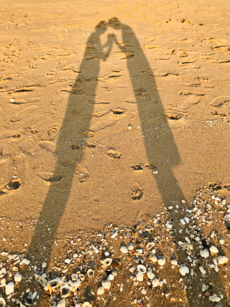 The silhouette of lovers on the beach.