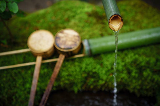 istock Wash hands and rinse mouth at a 'chozusha' 1131324623