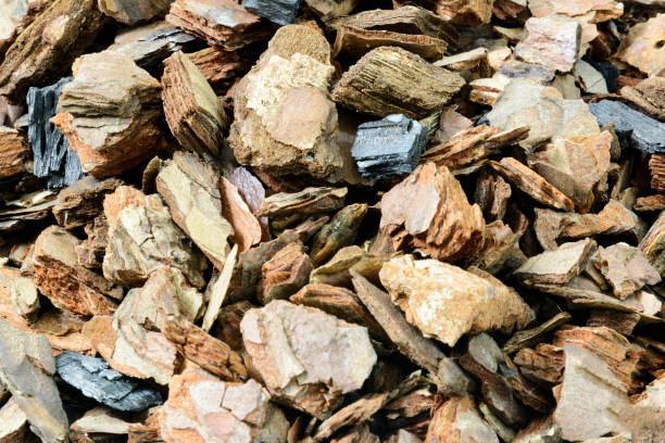 istock Tree, pine bark with charcoal used for orchid gardening. 1131327580