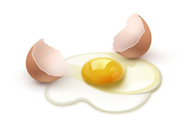 ilustracja wektorowa z bliska pękniętego jaja kurzego z brązową skorupką jaj na tle - eggs animal egg cracked egg yolk stock illustrations