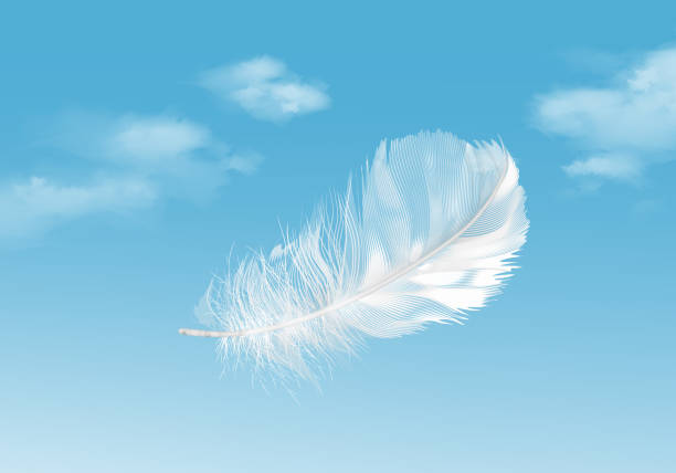 ilustrações de stock, clip art, desenhos animados e ícones de vector illustration of floating white feather on blue sky background - dreams cloud angel heaven