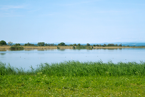 Beautiful rural blue lake, juicy meadow, empty sky, idyllic atmosphere.
Summer countryside landscape. European National Park. Tranquil, harmonious.