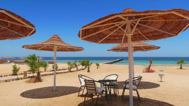istock Idylic hotel beach with sun umbrelas, Red Sea, Egypt 1131334323